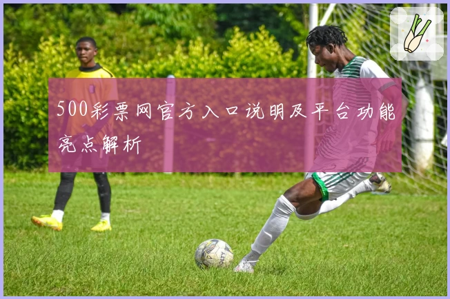 500彩票网官方入口说明及平台功能亮点解析
